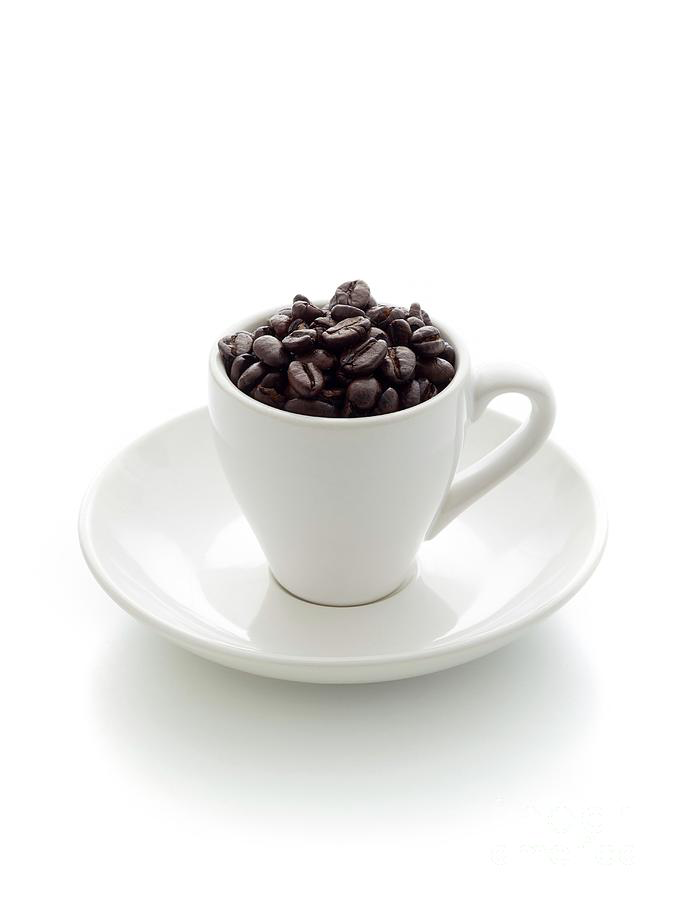 Dette bildet mangler alt-tekst; dets filnavn er image-8.png